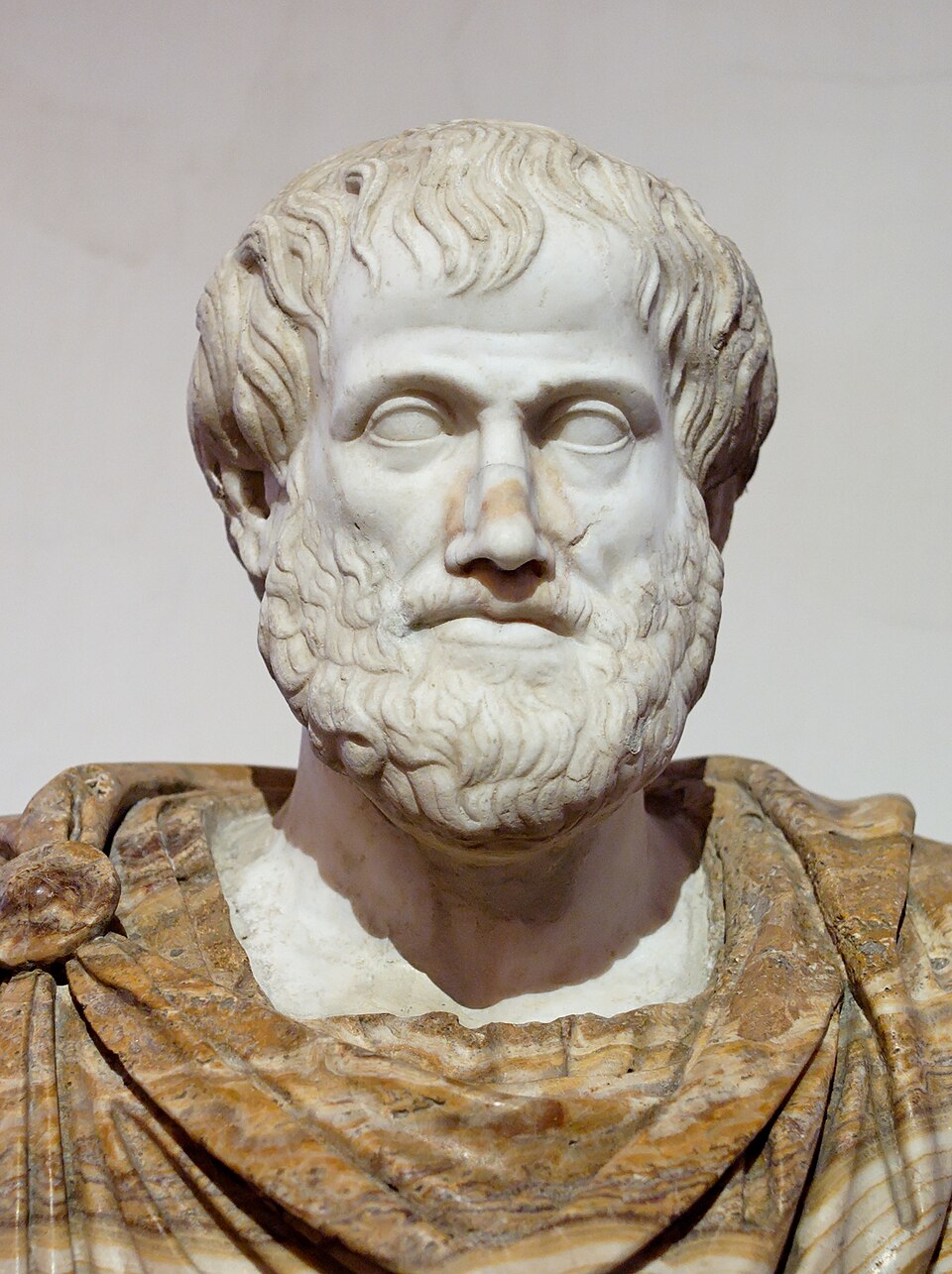 A classical marble bust of the ancient Greek philosopher and naturalist Aristotle.