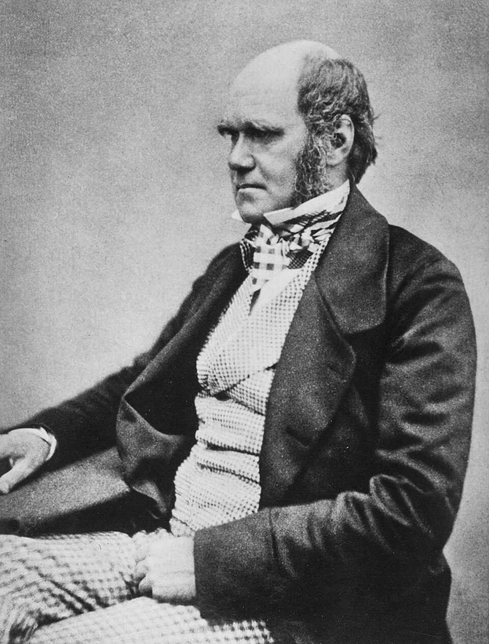 A photographic portrait of Charles Darwin in later life.