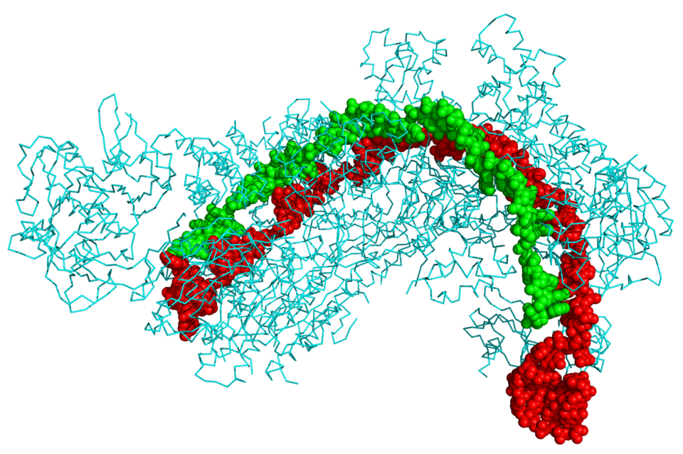 A conceptual illustration of the CRISPR-Cas9 gene-editing system cutting a strand of DNA.