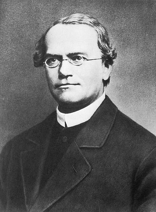 A formal portrait photograph of the Augustinian friar and geneticist Gregor Mendel.