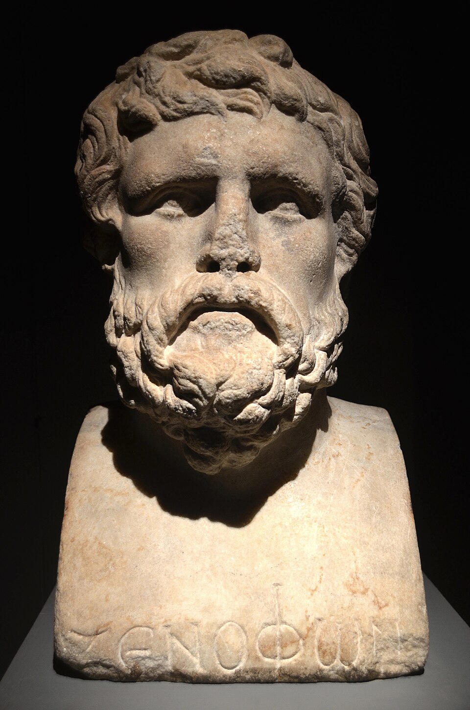 Bust of Xenophon, whose Oeconomicus on estate management gave economics its name.