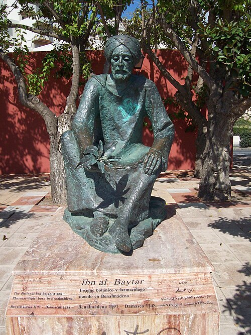 Ibn al-Baytar