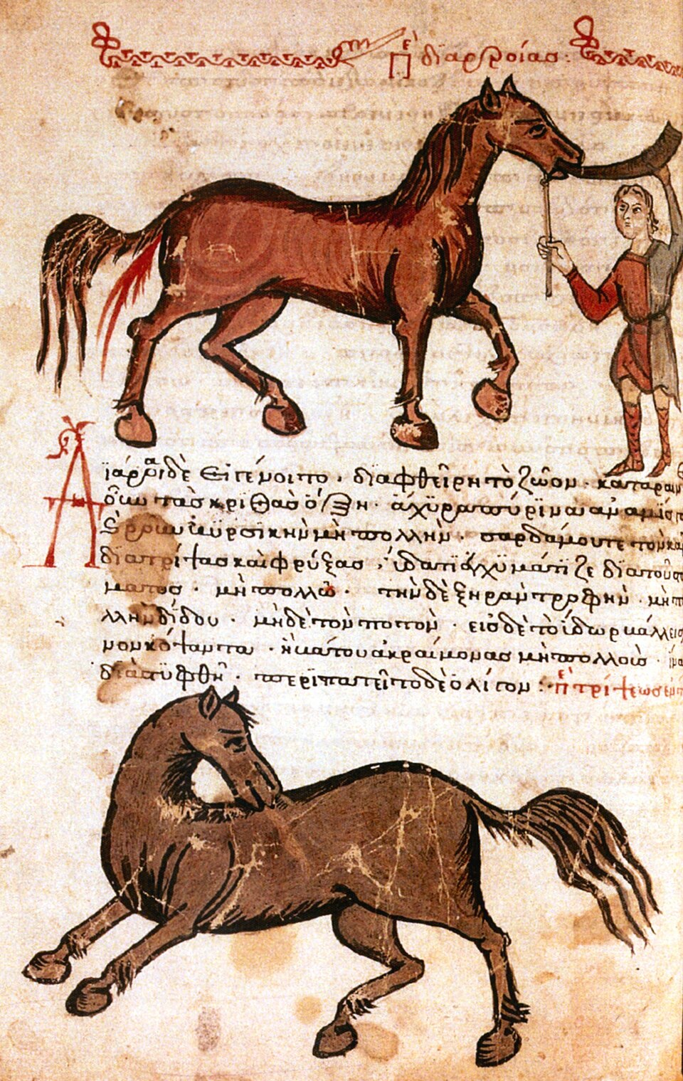 Illuminated manuscript page from a Byzantine horse-medicine compilation