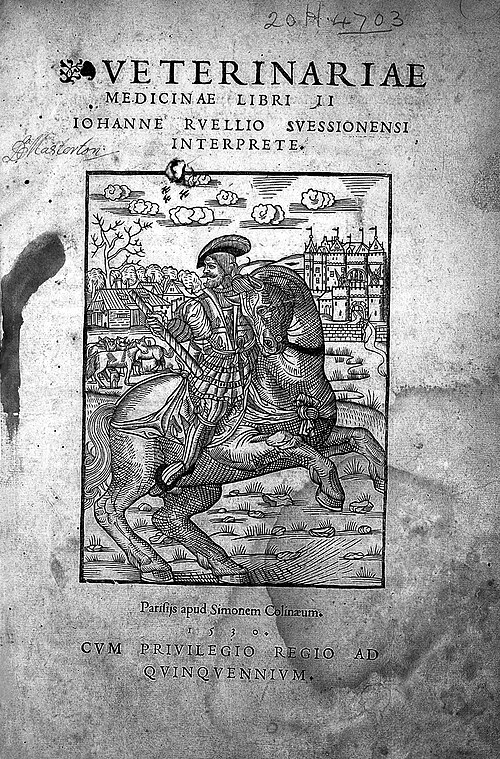 Absyrtus