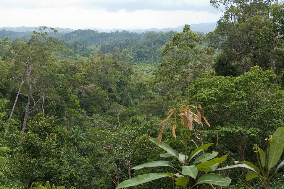 Campus or facility associated with Environmental Science